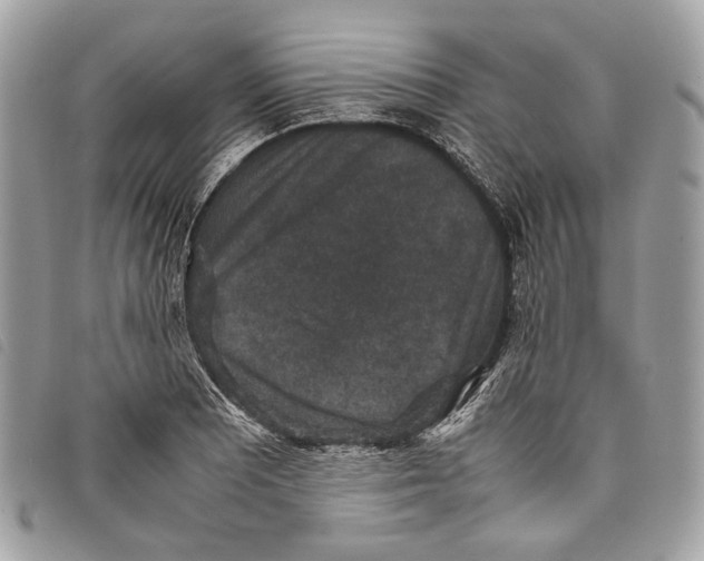 X0000097821081200804111010