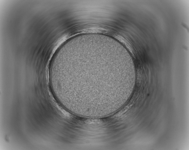 X0000097821083200804111010