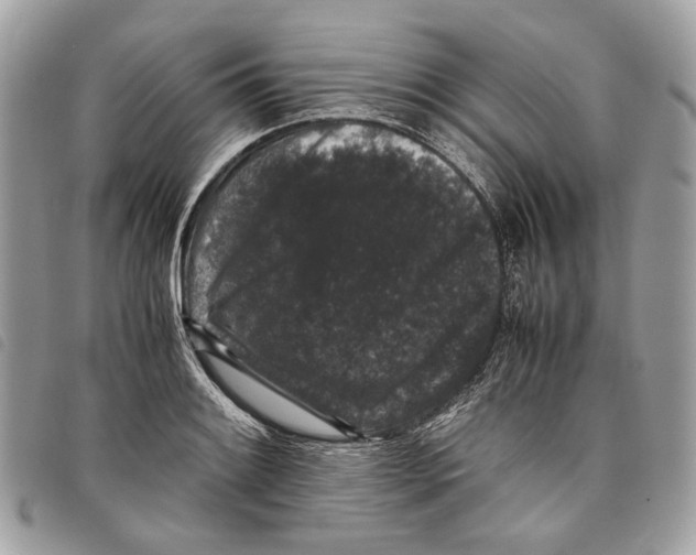 X0000097821084200804111009