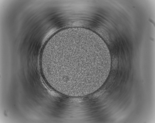 X0000097821086200804111009