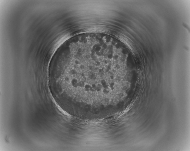 X0000097821087200804111009