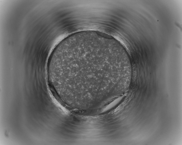 X0000097821088200804111009