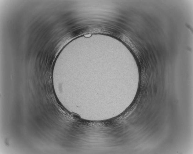 X0000097821089200804111009