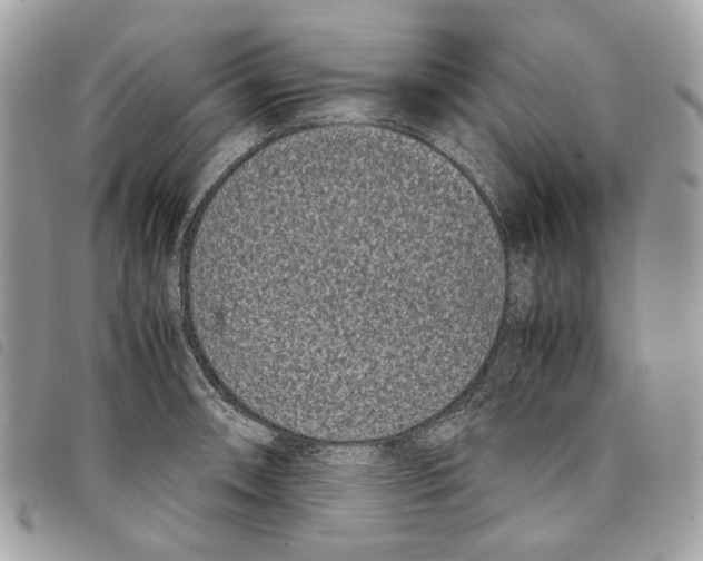 X0000097821090200804111009