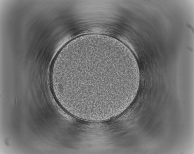 X0000097821091200804111009