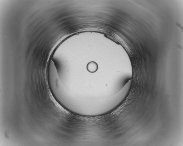 X0000097821092200804111009