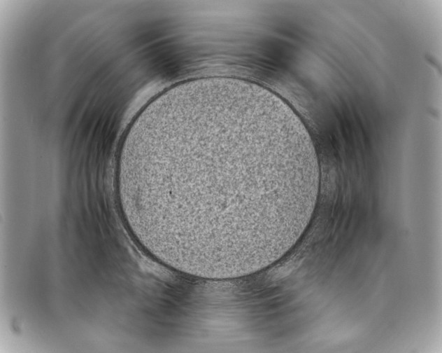 X0000097821094200804111009