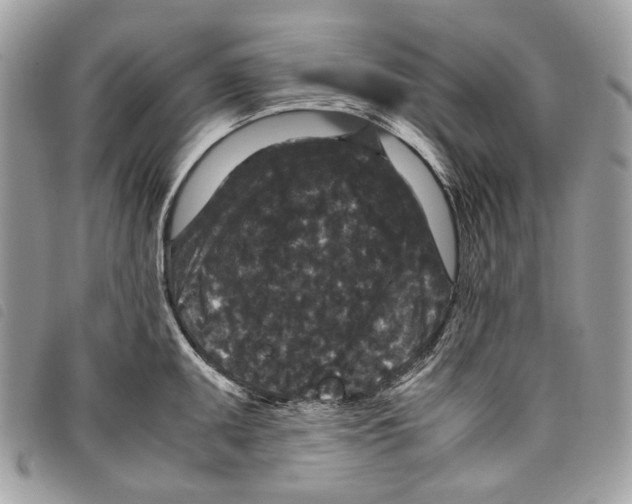 X0000097821095200804111009