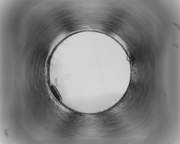 X0000097821096200804111009