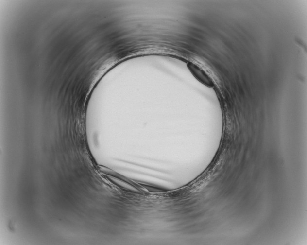 X0000097821097200804111009