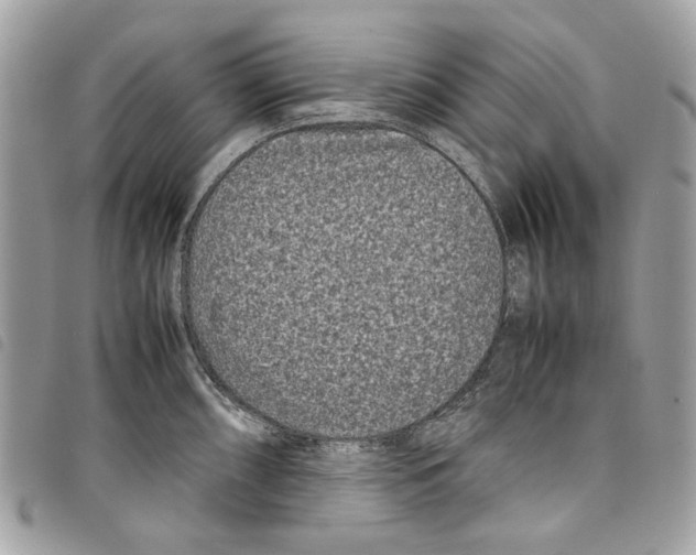 X0000097821098200804111009