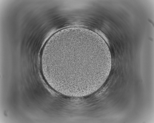 X0000097821099200804111009