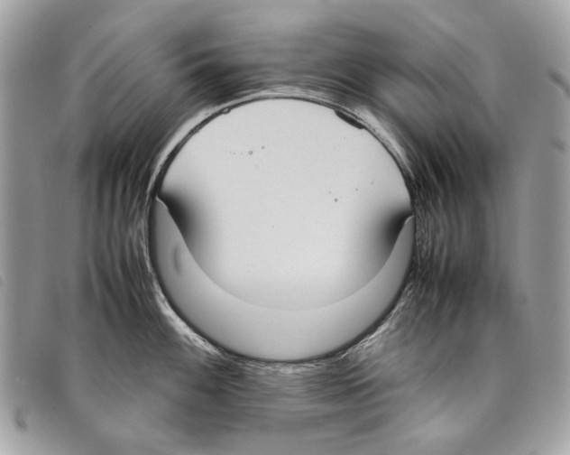 X0000097821100200804111009