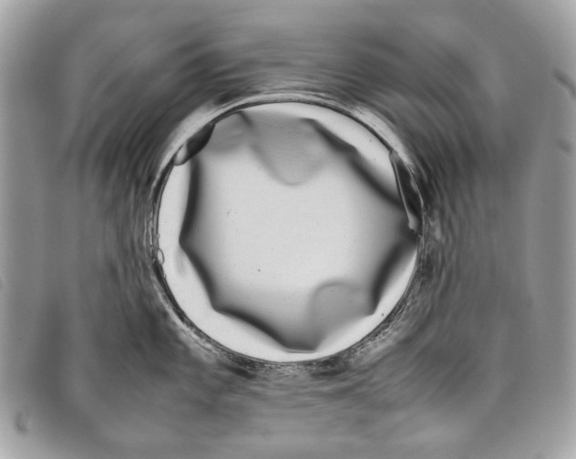 X0000097821101200804111009