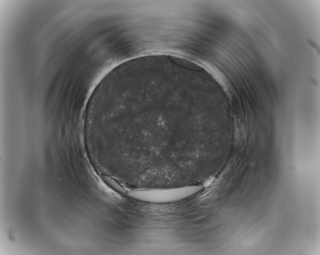 X0000097821102200804111009