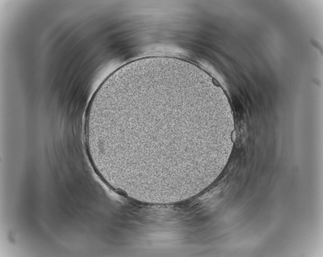 X0000097821103200804111009