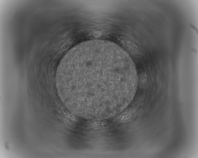 X0000097821105200804111009