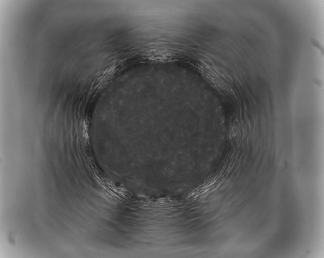 X0000097821106200804111009