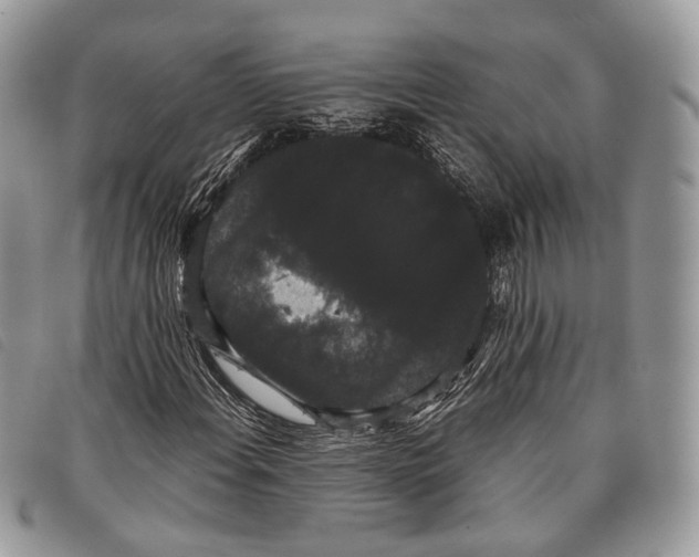 X0000097821108200804111009