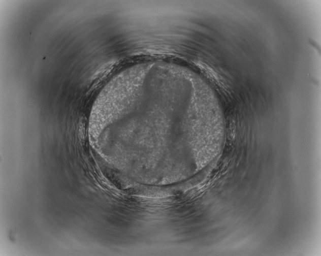 X0000097821110200804111009