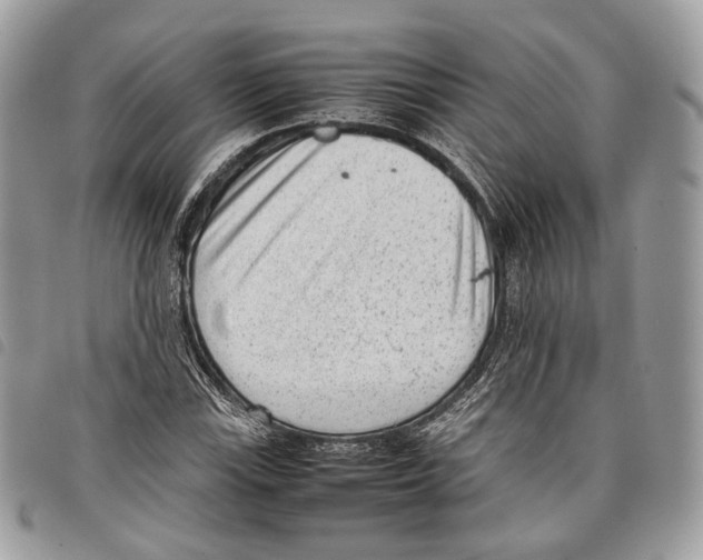 X0000097821115200804111009