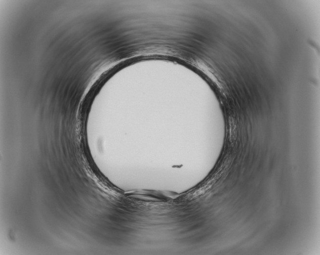 X0000097821116200804111009