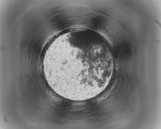 X0000097821117200804111009