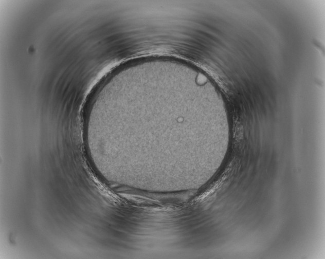 X0000097821118200804111009