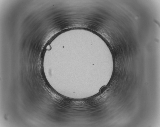 X0000097821119200804111009