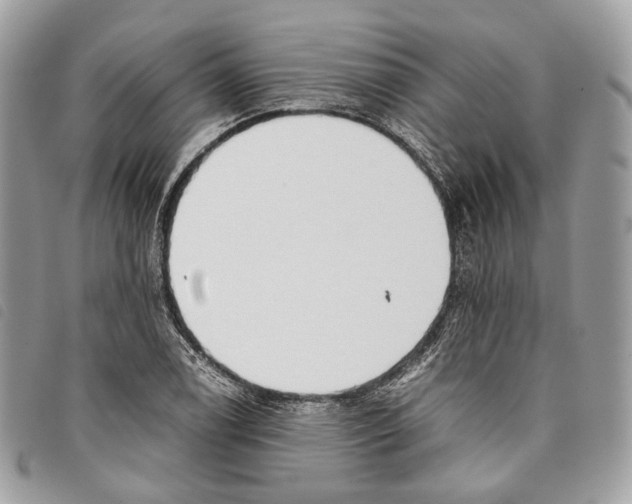 X0000097821122200804111009