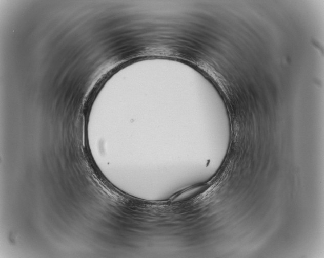 X0000097821123200804111009