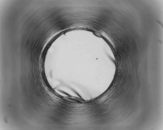 X0000097821124200804111009