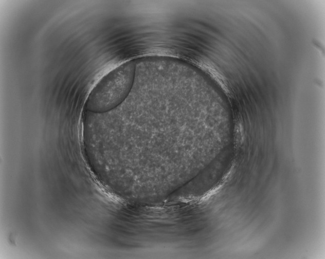 X0000097821125200804111009