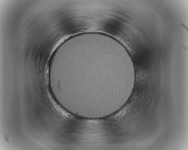 X0000097821126200804111009