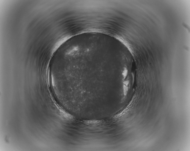 X0000097821127200804111009