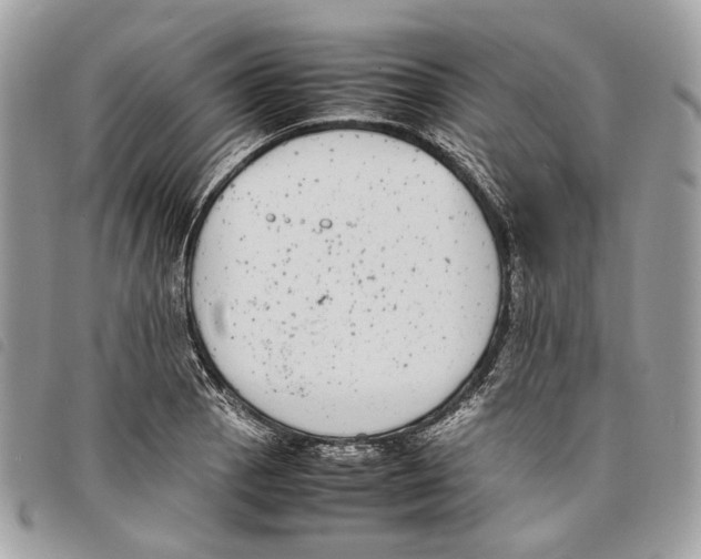 X0000097821129200804111009