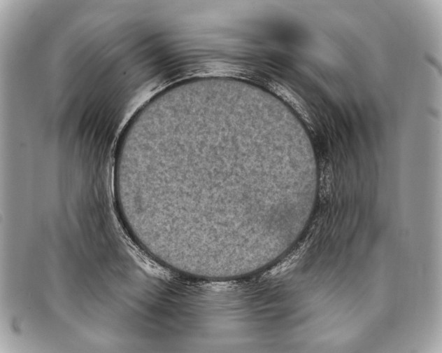 X0000097821130200804111009