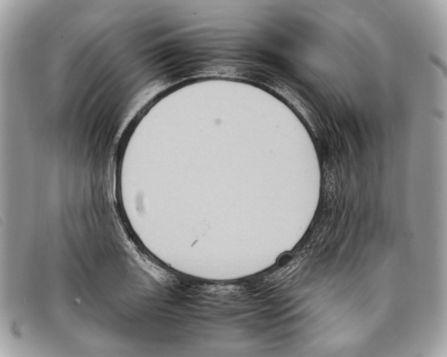 X0000097821131200804111009