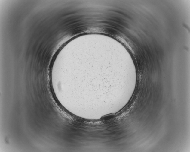 X0000097821133200804111009