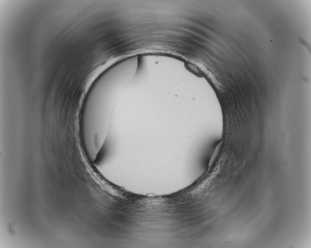 X0000097821134200804111009