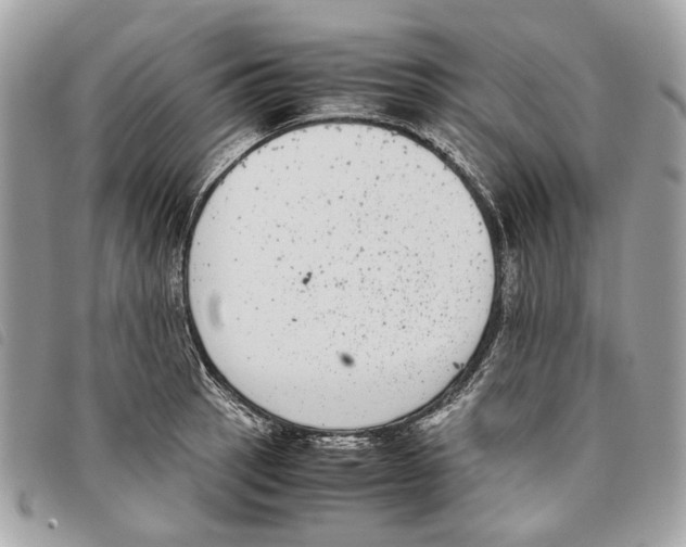 X0000097821137200804111009