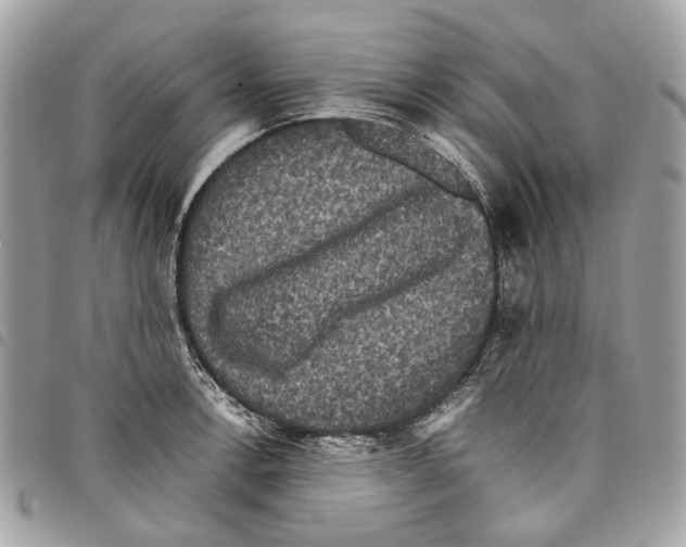 X0000097821138200804111009