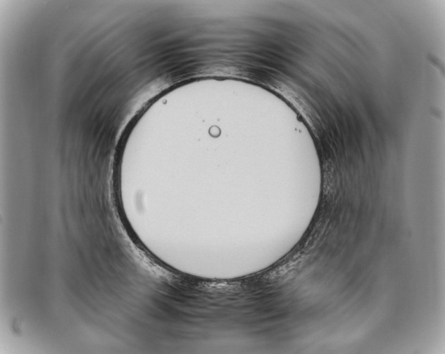 X0000097821139200804111009