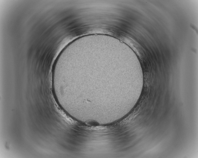 X0000097821140200804111009