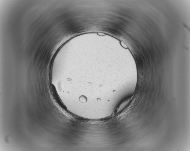 X0000097821142200804111009