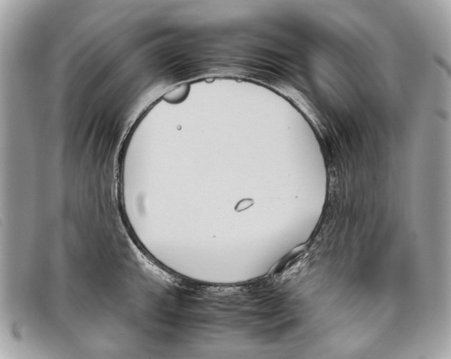 X0000097821143200804111009