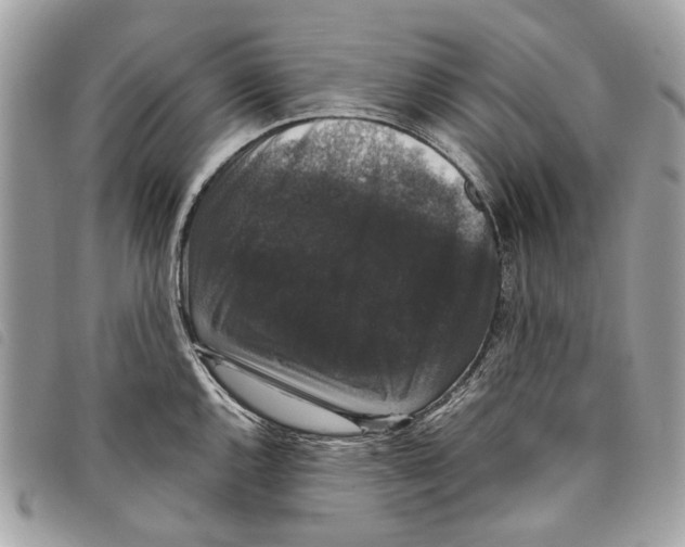 X0000097821144200804111009