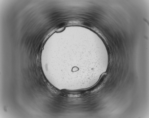 X0000097821145200804111009