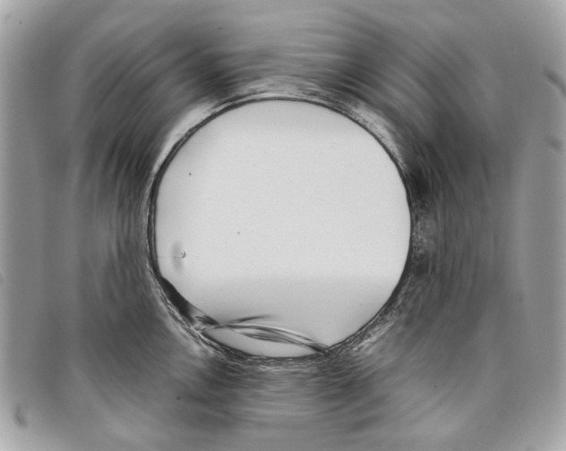 X0000097821146200804111009