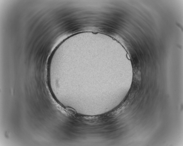 X0000097821147200804111009